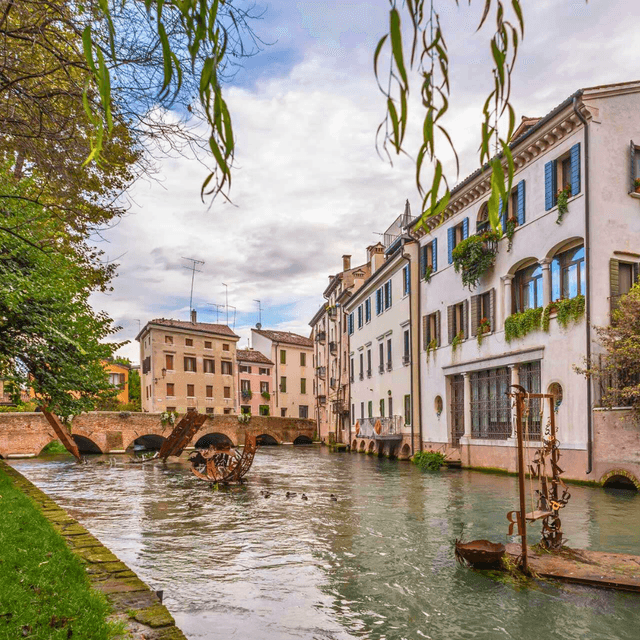 Treviso
