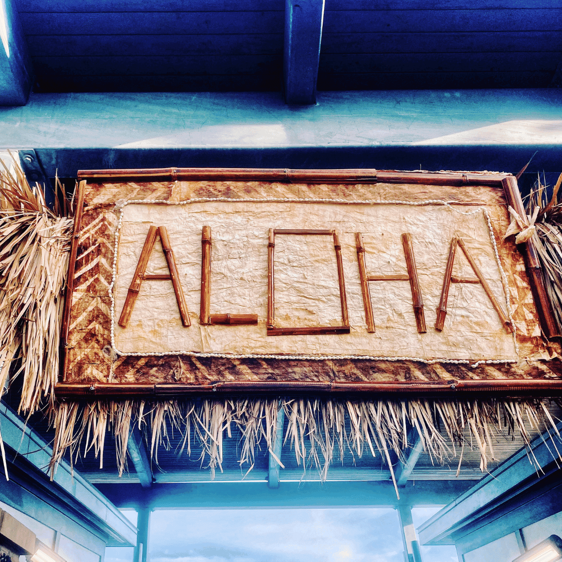  Il Concetto di Aloha e di Ho'oponopono