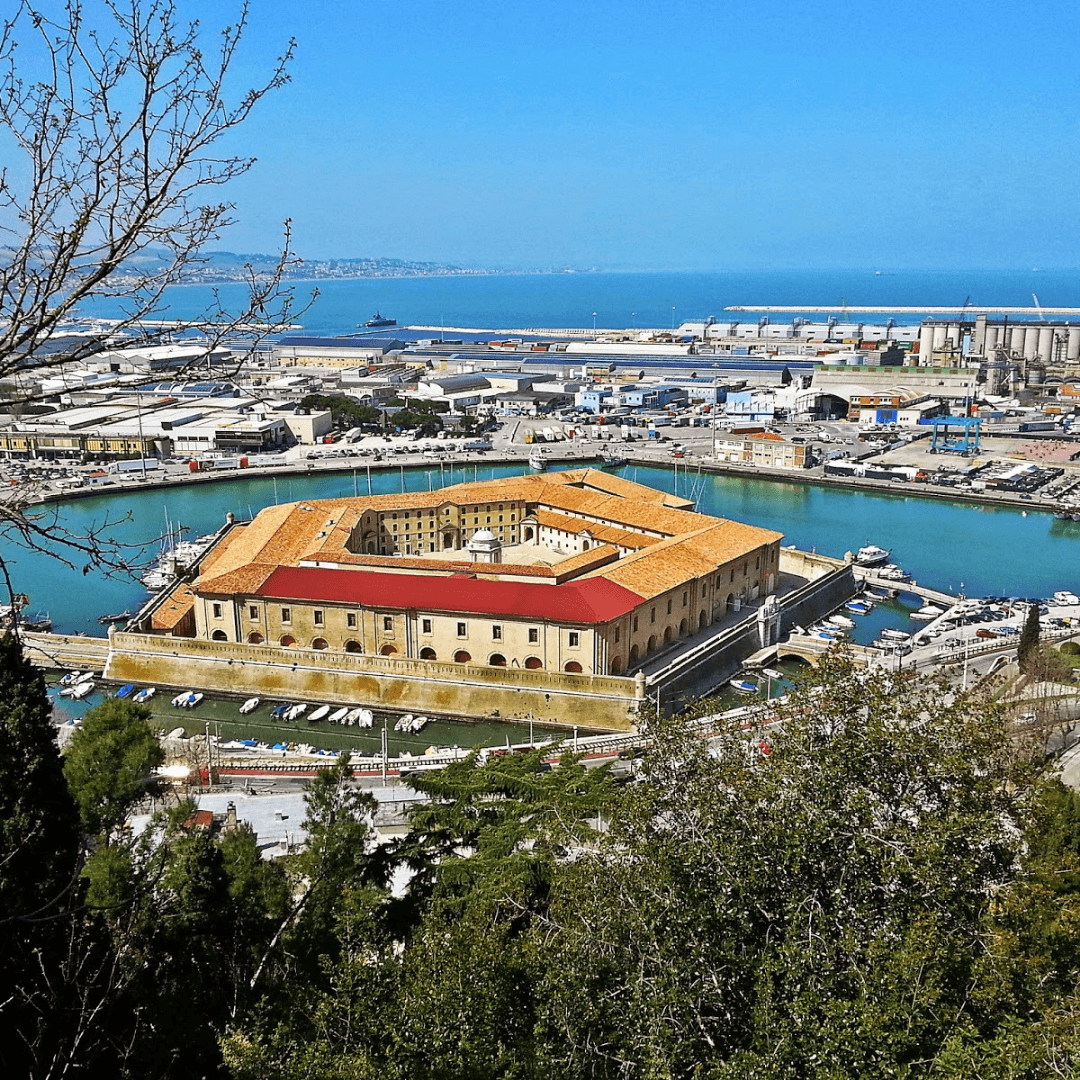 Scuola di massaggio ad Ancona
