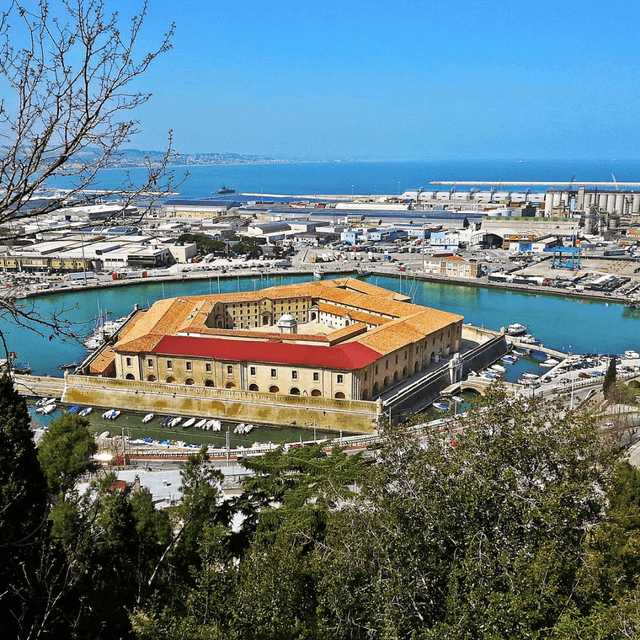 Ancona